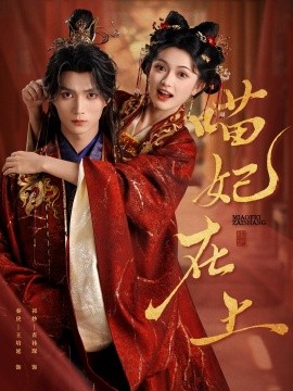 喵妃在上封面图