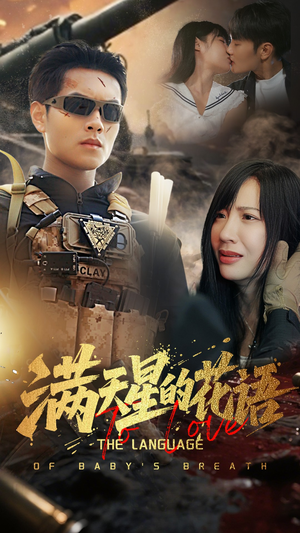 满天星的花语封面图